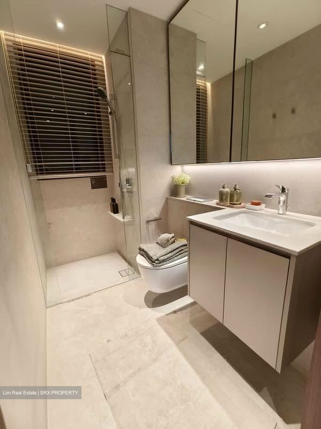 Dunearn Road (D11), Condominium #590426091